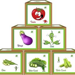 Sow and Grow Seed Starter 6 Vegetable Grow Kits : Brinjal+Okra+Chilli+Tomato+Karela+Gheeya || DIY Easy Grow it Yourself Gardening Kit for Home and Garden || A Complete Beginner Gardeners Gardening Set-image-69