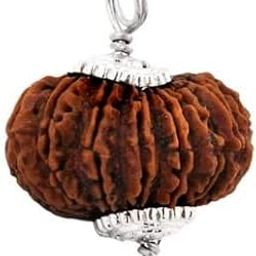 GtcGems Holy Seed Finest Nepali Bees Mukhi Rudraksha ट्वेंटी फेस 20 Face Rudraksha Brahma Swarupa Rudraksha Bead बीस मुखी रुद्राक्ष ಜೇನುನೊಣಗಳು ಮುಖಿ ರುದ್ರಾಕ್ಷ Precious 20 Mukhi Rudraksha Original Certified 20 मुखी रुद्राक्ष-picture-51