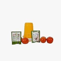 Wavar Fruit Fly Trap with Cucurbitae Lure (10 Units)-image-38