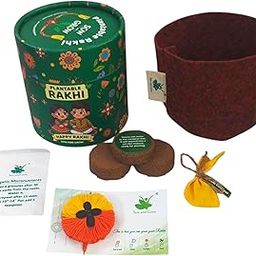 Premium 2-Colour Plantable Thread Rakhi with Torai Seeds – Yellow & Orange – Eco-Friendly Rakhi Combo with DIY Grow Kit-picture-22