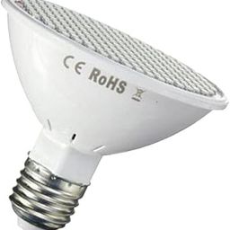 MERISHOPP 30W 2835SMD LED Grow Light Bulb, E27 Growing Plant Lamp for Greenhouse Hydroponic Aquatic Indoor Plants, Red and Blue-image-30