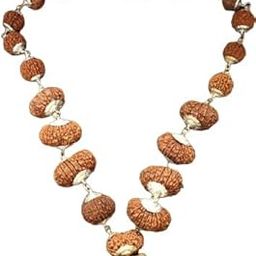 Precious Indrakshi Mala Rudraksha Nepal 1 to 21 इन्द्राक्षी माला Lab Certificate Shahi Indrani Mala In Silver Capping-picture-7