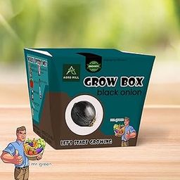 Organic Black Onion Exotic Veg Grow Box/KIT | Includes Large Pot,Potting Mix,Seeds,Scraper Tool,Root-O-Shoot,Plant NUTRIFIER,Bug Deterrence Powder,Perfect for Home Kitchen Garden & Gifts-image-75