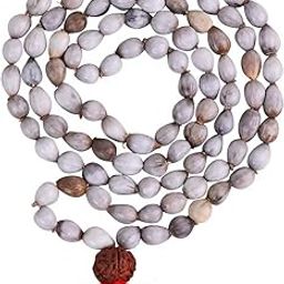 Shubhanjali Natural Vaijayanti Seed Mala Original 108+1 Beads Rudraksha Vaijanti Vaijayanthi Beads Mala for Wearing Prayer Mantra Chanting Jaap Mala Pooja-image-51