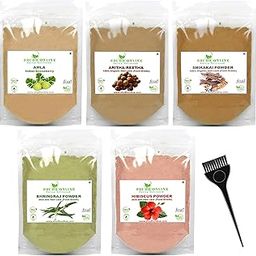 Shudh Online Amla, Reetha, Bhringraj, Shikakai & Hibiscus Powder Combo for Hair Growth (100 grams each)-26