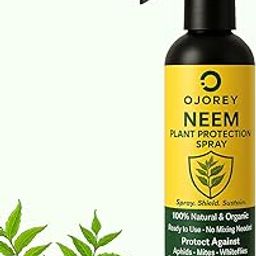 OJOREY Neem Plant Protection Spray 200ml – Organic Ready to Use Neem Oil Spray for Indoor and Outdoor Plants – Safe for Edible Gardens – Fights Aphids Mites Whiteflies Gnats and Powdery Mildew-image-66