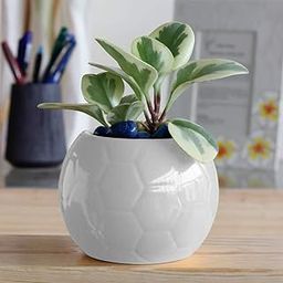 UGAOO Football Ceramic Pot (White)-image-36