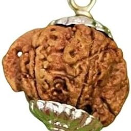 Genuine 5 Mukhi Ganesh Rudraksha Original Certified With Igl Certificate गणेश रुद्राक्ष असली Beautiful White Capping Ganesha Pendant For Men Women Wearing Ganpati Rudraksha Ruthratcham-17