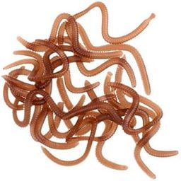 ATORSE 5x20Pcs/Box Smell Soft Worm Lures Clam Worms Maggots Artificial Baits 9cm- Sporting Goods- Fishing- Baits, Lures & Flies- Crankbaits-image-63