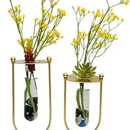 Dome Deco Desktop Glass Planter Hydroponics Vase Glass Propagation Station with Modern Creative Geometric Metal Frame Test Tube Vase for Home Office Decor Table Top (Set of 2) Gold-image-19