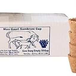 Maa Gauri Empty Sambrani Cup | 100% Natural Sambrani Dhoop with Herbs | Organic and Natural Hand-Made Mini Cups (Pack of 1, 50Pcs)-19