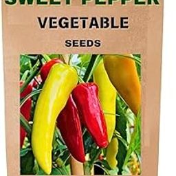 Ekaaksh - Sweet Pepper Long Mix Seeds + Free Seed Germination Paper + Planting Guide - New Seeds with Test Result - Best for Pots, Terrace & Kitchen Gardening-image-68