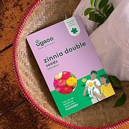 UGAOO Zinnia Double Flower Seeds (Multicolour, Pack of 200)-image-32