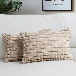 HOMADORN Luxury Plush Fur Reversible Cushion Cover Ultra Soft & Cozy (Pack of 2)-17