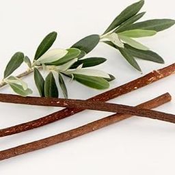 Zooberary Zaitoon Olive Herbal Miswak Natural olive stick for, Adult Toothbrush Sticks | Datun Chewing Sticks | Healthy Eco Friendly Toothbrush | Pack Of 3-picture-11