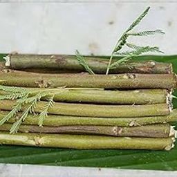 Generic Ayurvedic Natural Organic Babool Datun (Neem Twig Toothbrush), 9 inch, Pack of 30-25