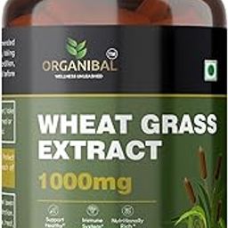 ORGANIBAL Wheatgrass Capsules for Waight Loss, Liver Detox, Digestion, Fat Cutter Burner, Nutrition Superfood - Reduces Metabolism, Vegan Ayurvedic Wheatgrass Capsule - 60 Capsules, 1000mg-picture-23