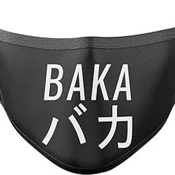 BAKA Japanese Mask 2 Ply Soft Cloth Face Mask-47