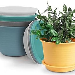 INKULTURE Plastic Round Flower Pots with Tray for Home Planters, Terrace, Garden Etc | Pack of 05 | Multicolor | Size 8 Inch | for Home Indoor & Outdoor Gardening Plants-image-43