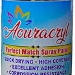 AOURACRYL PU Spray Paint Shadow grey,Compatible for Hyundai Aura and Grand i10 NIOS-225 ml (Pack of 1)-image-98