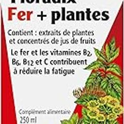 Floradix Iron & Vitamin Formula Liquid 250ml-image-63