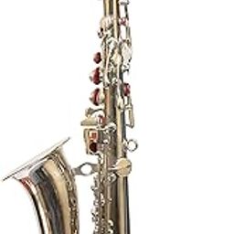Skylark International Alto Saxophone Nickel Polish With Hard Case,Belt And Extra Reed-image-40