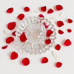 VELVETEARTH® Feng Shui Crystal Tortoise Set with Plate for Wealth & Vastu | Family Set for Home/Office Table Decor | Size: 9cm Tortoise, 11cm Plate-image-4