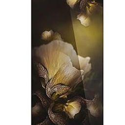 Whirlpool Icemagic Pro 192L 5 Star Glass Finish Single Door Refrigerator (Model: DC 215 IMPRO GD PRM, Gold Dust, Inverter Compressor)-image-50