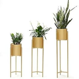 MSK HANDICRAFT Modern Stylish Display Shelving, Set of 3 Tall Plant Stands, Golden Metal Plant Holders, Home Décor Planters-image-48