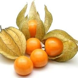 Cape Gooseberry Seeds/Rasbhari/Golden Berry Fruit Seeds (Pack of 100+ seeds)-image-67