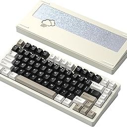 [WOBKEY Rainy 75 Keyboard] Rainy Sound Mechanical Keyboard, 3-Way Connection, OS Compatible, Hot Swap and VIA Compatible, Customizable, Gasket Design, Aluminum Material, RGB Backlight (Pro White - WOB-54