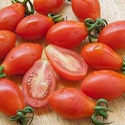 Cherry Tomato-image-42
