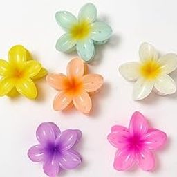BRILORA Flower Hair Claw Clips, 6 Pieces, Multicolour Hawaiian Plumeria Design, Plastic Hair Accessories for Women and Girls (MULTICOLOUR 6 PIECES)-image-19