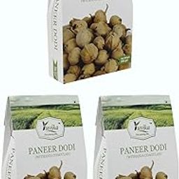 YUVIKA Paneer Dodi - Paneer Ke Phool - Withania Coagulan 250 Grams Pack of 3 Boxes-image-29