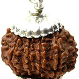 Rudrarise Holy 7 Mukhi Rudraksha Original Certified by IGL Super Luxury Nepali Ruthratcham Brown Bead 7 मुखी रुद्राक्ष ओरिजनल Real & Rare Saat Mukhi Rudraksh for Men & Women-image-32