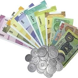 Edulearnable - in-Home Learning Toy for Counting and Dummy Currency Lessons - Set of 300 Paper Fake Notes and 56 Coins - Duplicate and nakli Play Money Designed Educational Purpose-71