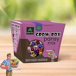 AGRO MILL ORGANIC PANSY MIX FLOWER GROW BOX/KIT | INCLUDES LARGE POT,POTTING MIX,SEEDS,SCRAPER TOOL,ROOT-O-SHOOT,PLANT NUTRIFIER,BUG DETERRENCE POWDER,PERFECT FOR HOME KITCHEN GARDEN & GIFTS-image-87