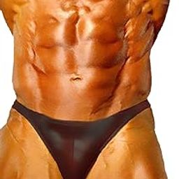 Winner Bodybuilding Posing Swim Wear Suit Trunks Briefs-image-0