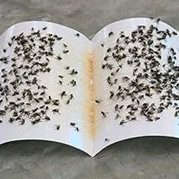 LJL Traders Fly Trap Sticker Paper/Sticky Traps for Home Flies - Pack of (4)-picture-16