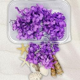 Natural Purple Hydrangea Dried Flowers for Resin Art, Crafting and DIY Projects-image-32