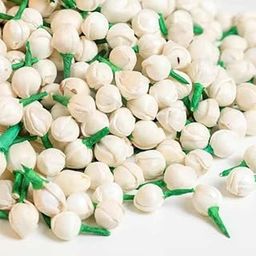 H.O.C HOC Artificial Mogra Buds/Jasmine Flower for Jewellery Making, Craft Material, Hair Accessory, Rakhi Making Set of 500-image-5