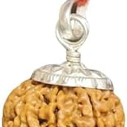 GEMFINITY Real & Genuine 7 Mukhi Rudraksha Original Certified Nepali Beads Saat Mukhi Rudraksha Nepal 7 Faced Rudraksha Silver Capping Seven Mukhi Rudraksha सात मुखी ओरिजिनल नेपाली रुद्राक्ष-image-1
