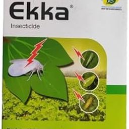 EKKA Acetamiprid 20% Sp 100 gm Combo with 350gm Dap for Complete Plant Food for Growth Boost-image-42