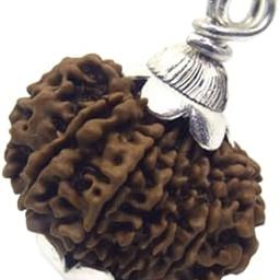 NEXG 13 Face Rudraksha Original Certified Terah Mukhi Rudraksha Pure & Genuine 13 Mukhi Rudraksha With Silver Pendant Holy Bead Thirteen Face Rudraksha For Men & Women 13 मुखी रुद्राक्ष नेपाली ओरिजनल-image-61