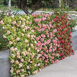 SellPlus Privacy Border Wind & Sun Protection Plastic Hedge Garden Fence Screening Artificial Laurel Extendable Trellis (Pink, Medium Size, 60x13.5 cm)-17