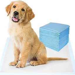Amazon Basics Dog And Puppy Pee Pads | Pack Of 20 | 24 X 23 Inches | Leak-Proof, Quick-Dry Design For Potty Or Indoor Training | Heavy Duty Absorbency-8