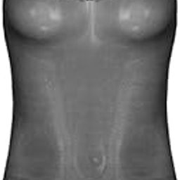 Women's Sheer Black Bodysuit, Sleeveless Leotard, One-Piece Swimwear-image-11