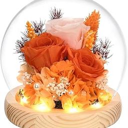 ORRPTSNC Valentines Gifts for Her, Preserved Real Rose in Glass Dome with LED Light, Gifts Idea for Women Wife Mom Grandma on Anniversary Birthday Mothers Day Thanksgiving Christmas, Sweet Gifts-image-29