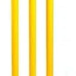 LAL Enterprises Plastic Cricket Wicket Stumps Set Pack of 1(Yellow)-image-87