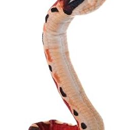 Wild Republic Coilkins Blood Python, Stuffed Animal, 12 Inches, Plush Toy, Fill is Spun Recycled Water Bottles-image-67